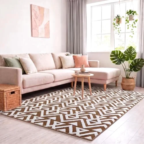 LOCHAS Ultra Soft Shag Rug 4 × 6 ft, Beige