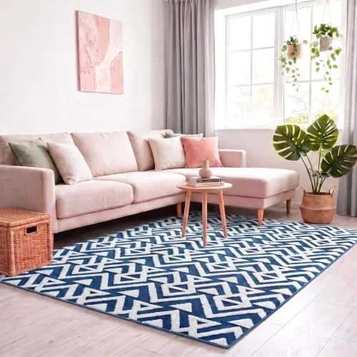 LOCHAS Ultra Soft Shag Rug 4 × 6 ft, Light Navy