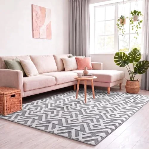 LOCHAS Ultra Soft Shag Rug 4 × 6 ft, Grey