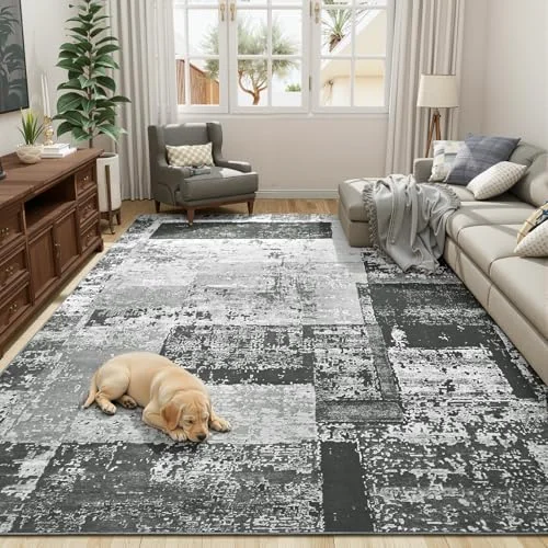 LOCHAS Washable Living Room Rug 4 × 6 ft, Black Grey